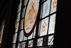 Lain-lain 7 Costislost Organic Retreat