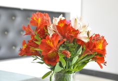 Lain-lain 2 Inroma Holiday Resort