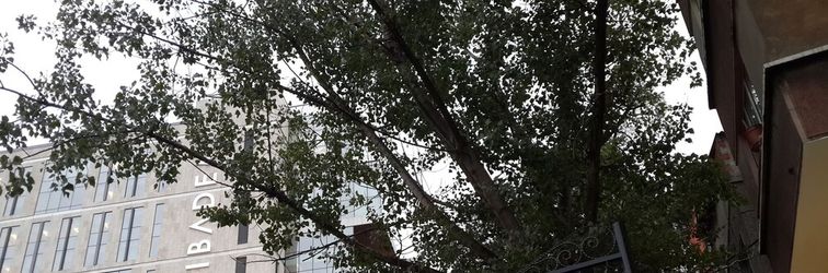 Others Almond Hill Apart