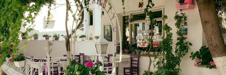 其他 Agan Pansiyon