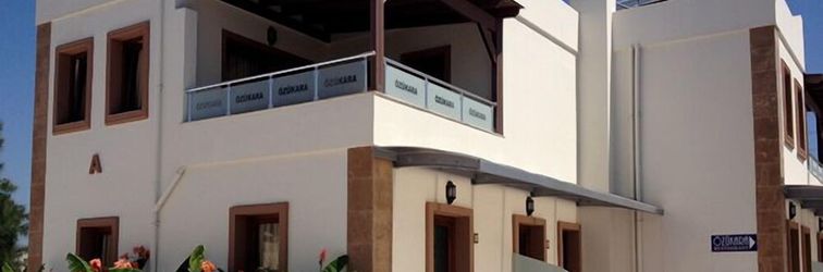 其他 Ozukara 1 Apart