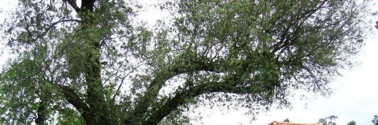 其他 Quinta Vale do Homem