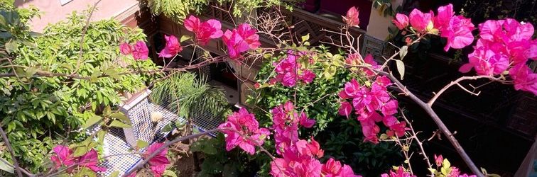 その他 Riad TOYOUR