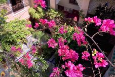 その他 Riad TOYOUR