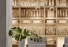 อื่นๆ 4 Arlo NoMad