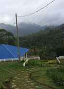 Primary image Lilies@Munnar