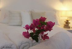 其他 7 Langas Villas