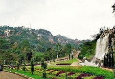 Others 5 De Goti Dago Pakar