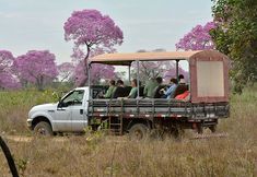 Others 4 SouthWild Pantanal Lodge