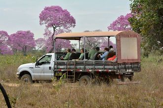 Others 4 SouthWild Pantanal Lodge