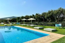 อื่นๆ Kallimento