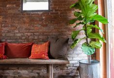 其他 3 RubyJune Inn