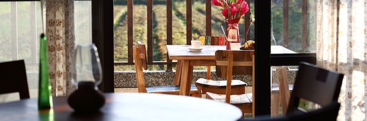 Others Lagerstoemia Spec Iosa B&B