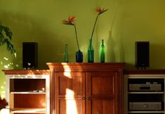 Others 5 Lagerstoemia Spec Iosa B&B