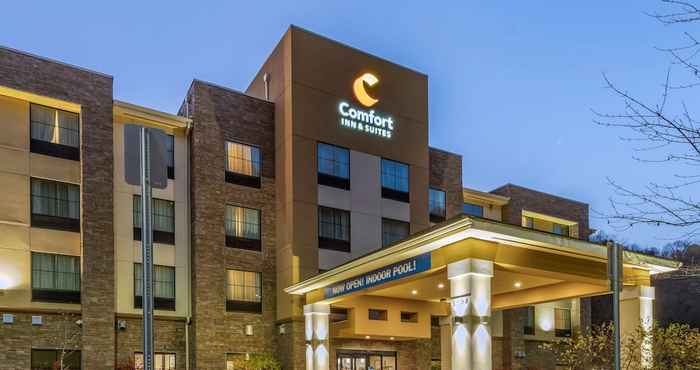 Others Comfort Inn and Suites