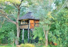 Others 5 Ivory Lodge