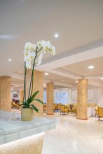 其他 4 CNic Gemini Hotel