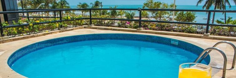 기타 Flat Golden Fortaleza