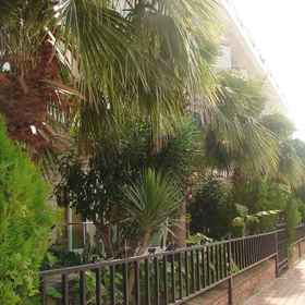 Primary image1恩丹飯店,Balmy Beach resort飯店