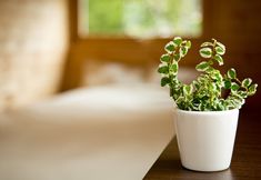 其他 5 BRICK HOUSE Furano