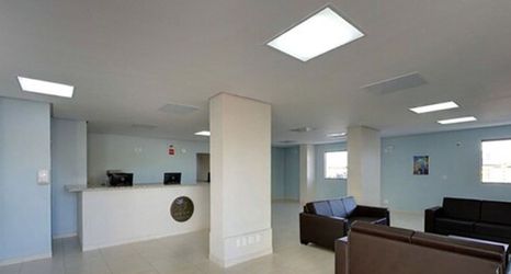 其他 2 Golden Dolphin Supreme OFICIAL