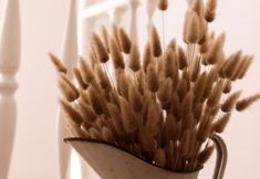 Others 4 B&B Panorama Alghero