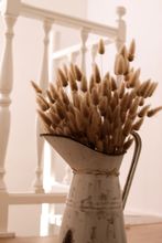 Others 4 B&B Panorama Alghero