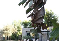 อื่นๆ 6 Bella Sombra Hotel