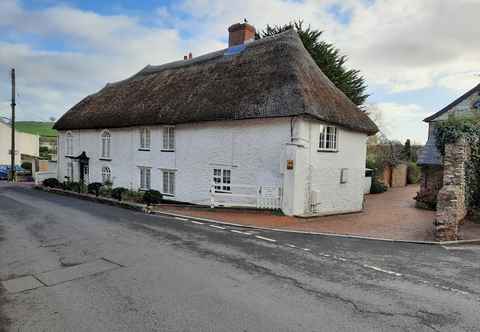 Others The White Cottage B&B