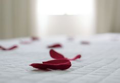 Others 7 Contagem Centro Hotel