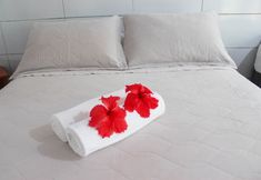 其他 2 Pousada Leão Marinho