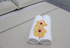 其他 7 Pousada Leão Marinho