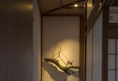 其他 7 Sheena and Ippei - Hostel