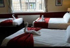 其他 3 The Swan Inn