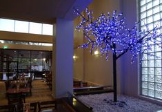 Others 3 Amaroo Hotel Dubbo