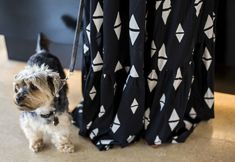 其他 4 Ocean Drive Talamanca