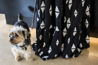 其他 4 Ocean Drive Talamanca