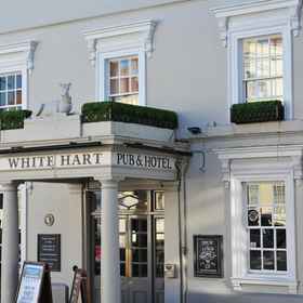 Primary image1白鹿飯店 - 格林國王旅館,银石赛道飯店