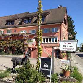 Primary image 1 赫希兰德酒店, 苏黎世州 酒店