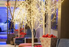 Lain-lain 2 The Westin Buffalo