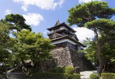 其他 6 Ooedo Onsen Monogatari Premium Seiunkaku