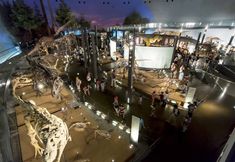 其他 7 Ooedo Onsen Monogatari Premium Seiunkaku