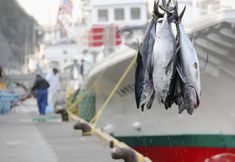 Lain-lain 4 TAOYA nachikatsuura