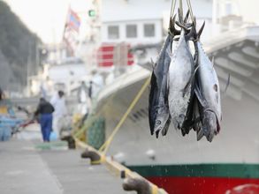 Lain-lain 4 TAOYA nachikatsuura