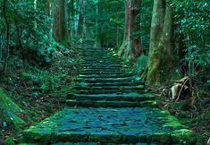 Lain-lain 3 TAOYA nachikatsuura