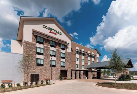 その他 Courtyard by Marriott Fort Worth at Alliance Town Center
