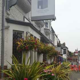 Primary image1城堡飯店,唐布里奇和马灵区飯店