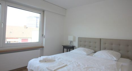 其他 2 Swiss Star Zurich Oerlikon