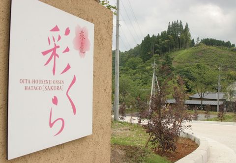기타 Hatago Sakura