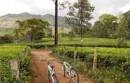 Others 2 Tea Harvester Munnar